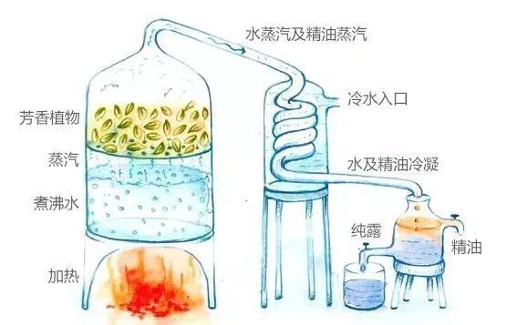 精油和纯露制作流程