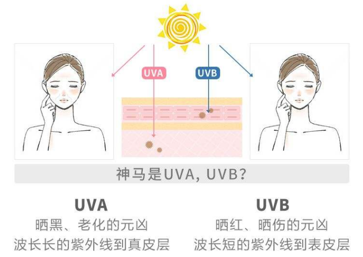 UVA和UVB